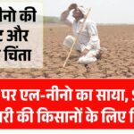 El Nino Effect On Monsoon